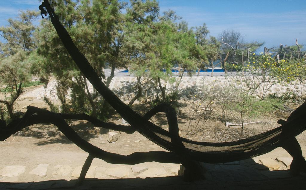 Grillo Tres Puntas Eco-Hostel Zorritos Zewnętrze zdjęcie